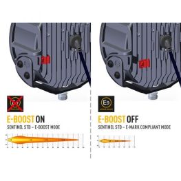 3342399 LAZER SENTINEL 9” Standard REF 20